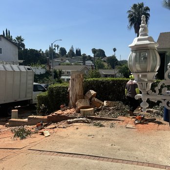 M&J Landscapes - Landscaping Near Me - West Covina, California M&J Landscapes - Landscaping Near Me - West Covina, California