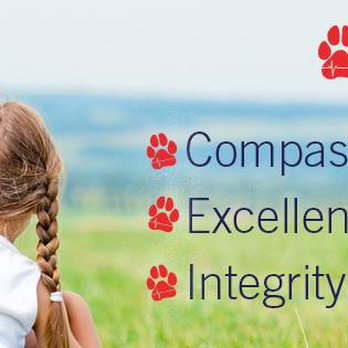 CVCA Cardiac Care For Pets - Veterinarians Near Me - Fairfax, Virginia CVCA Cardiac Care For Pets - Veterinarians Near Me - Fairfax, Virginia