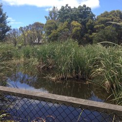 Boneo Maze & Wetlands Centre