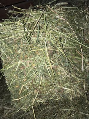 Red Barn Feed Supply 12948 Okeechobee Blvd Loxahatchee Fl Pet