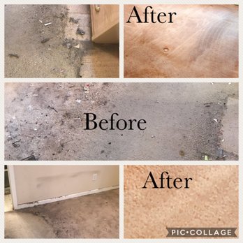 Two Sisters Maid to Clean - Carpet Cleaning - Home Cleaning Near Me Two Sisters Maid to Clean - Carpet Cleaning - Home Cleaning Near Me
