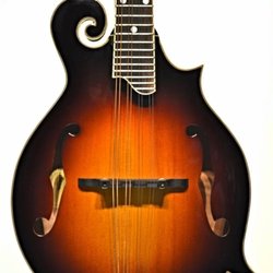 Wasatch Musician