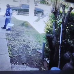 USPS - Delivery Grinch that broke present by dropping gifts. Video format was not supported but this is the screenshot with face of Grinch.