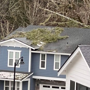 Mountain View Tree Service - Top of tree extended over the roof. - Tree Services Near Me - Salem, Oregon Mountain View Tree Service - Top of tree extended over the roof. - Tree Services Near Me - Salem, Oregon