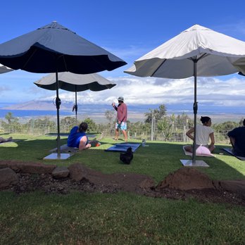 Maui Goat Yoga - Yoga Near Me - Kula, Hawaii Maui Goat Yoga - Yoga Near Me - Kula, Hawaii