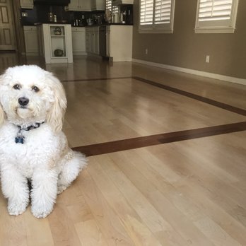 Restore Your Floor Hardwood Flooring - Flooring Near Me Restore Your Floor Hardwood Flooring - Flooring Near Me