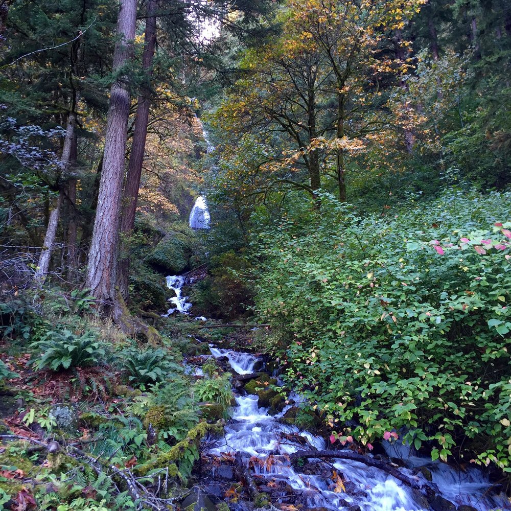 Wahkeena Falls - The tiered waterfalls of Wahkeena Falls - Parks Near Me - Troutdale, Oregon Wahkeena Falls - The tiered waterfalls of Wahkeena Falls - Parks Near Me - Troutdale, Oregon