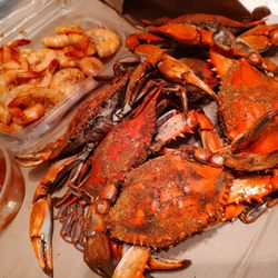 KOOL Ice & Seafood - #1s MD blue crabs fat and great tasting with NC steam shrimp...