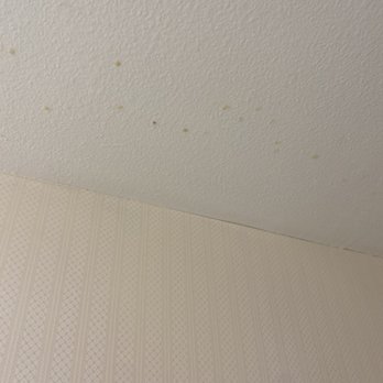 Circus Circus - Bugs all over the ceiling - Hotels Near Me - Las Vegas, Nevada Circus Circus - Bugs all over the ceiling - Hotels Near Me - Las Vegas, Nevada