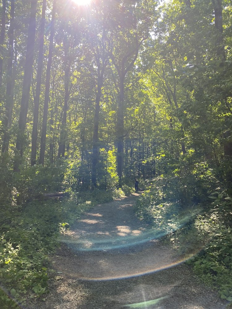 BOYD BIG TREE PRESERVE CONSERVATION AREA 54 Photos & 15 Reviews 401