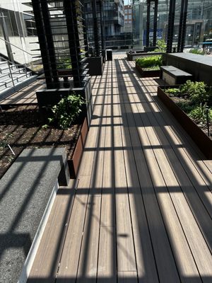 Yonge Eglinton Centre by null