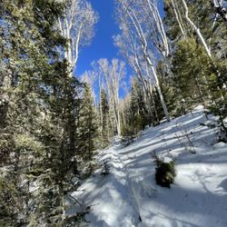 Hyde Memorial State Park - Big Tescuque Trail