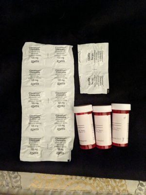 kirkland veterinary specialists