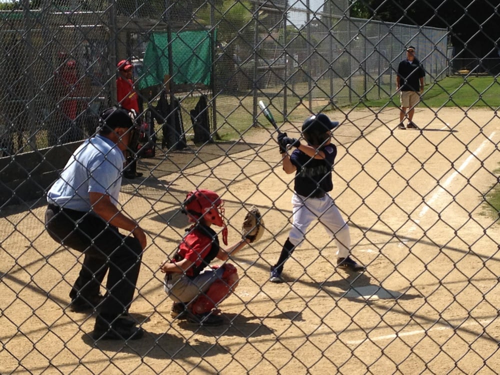 Warm Springs Little League Logo