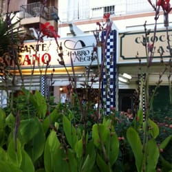 El Charro Negro - Tras la natura, el cherro negro.