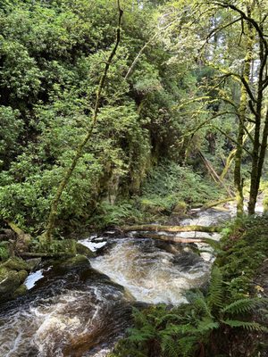 Torc Waterfall by null