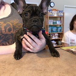 Yelm Veterinary Hospital