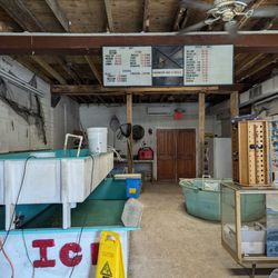 Edgewater Bait & Tackle