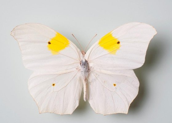 Naturhistorisches Museum Bern by null