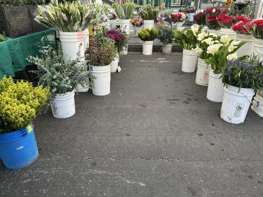 Brentwood Farmers Market by null