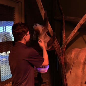 Austin Aquarium - Sloth and handler Cody - Aquariums Near Me - Austin, Texas