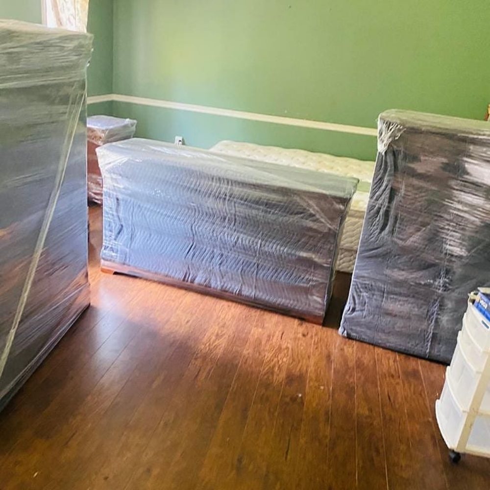 NEST MOVERS Updated August 2024 41 Photos 11 Canso Road