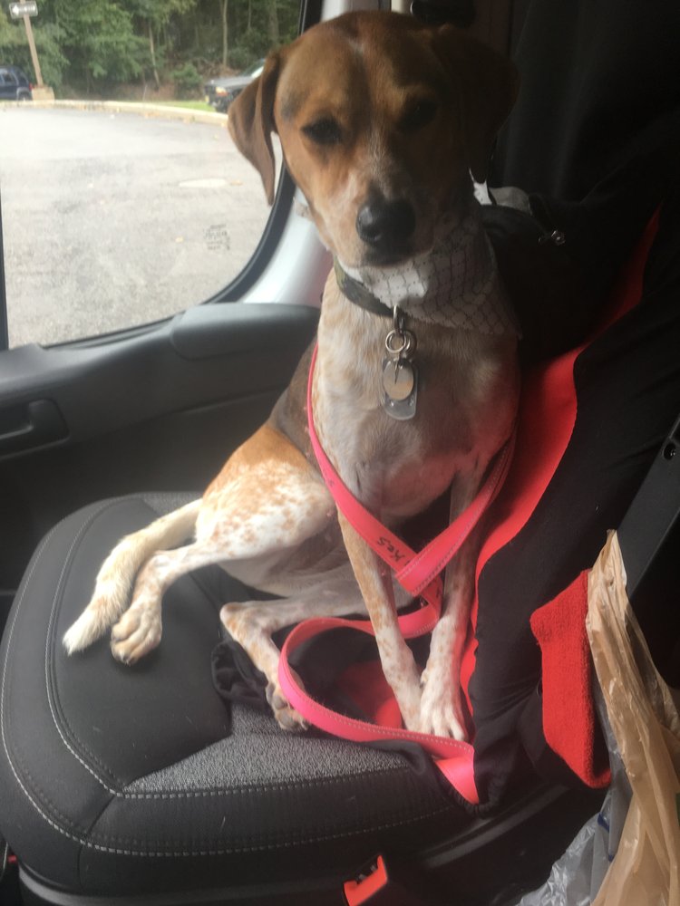 Slide of Bruce Stokes