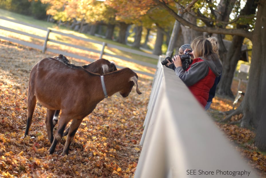 SEE SHORE PHOTOGRAPHY 50 Water St, Newburyport, Massachusetts