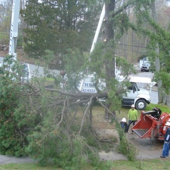 CJ Tree Service - Huge limb cut from tree. - Tree Services Near Me - Lincoln, Rhode Island