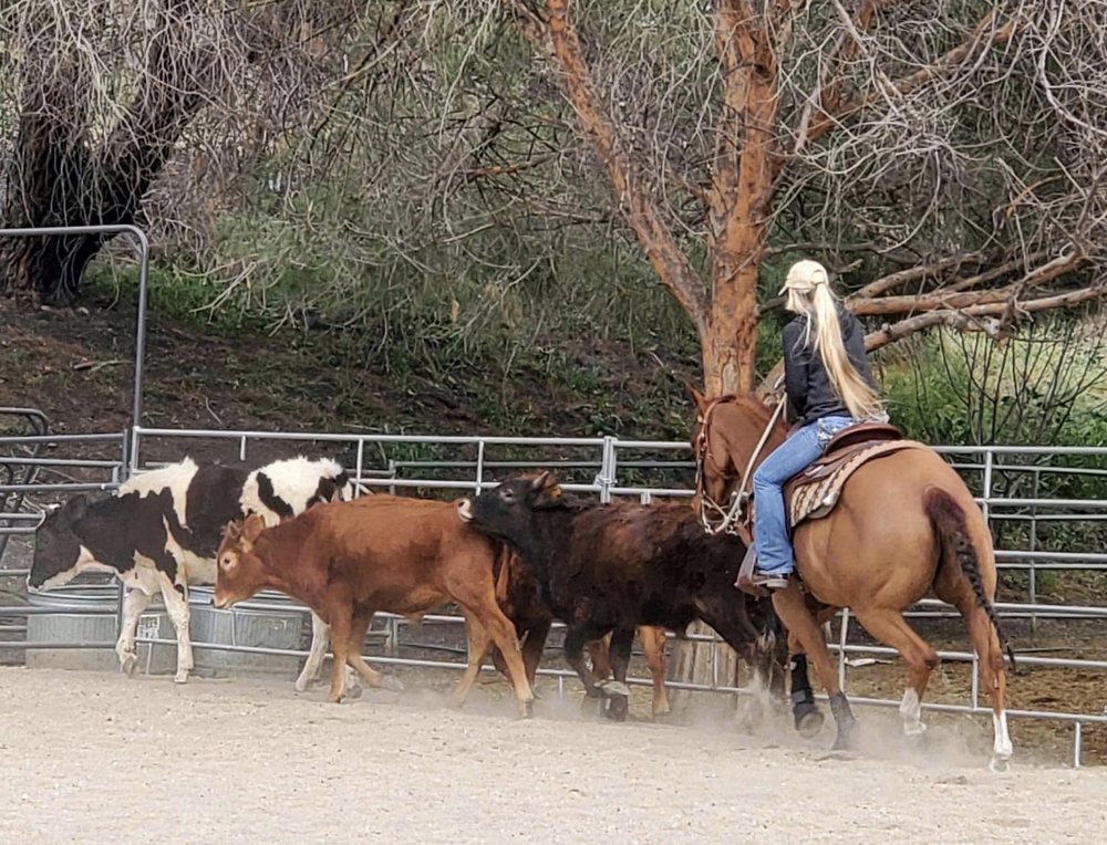 8 Days West Horsemanship Logo