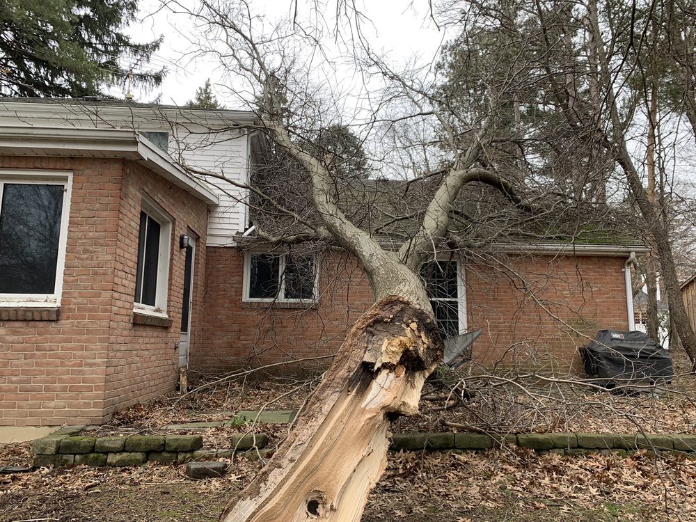 BRANCH MANAGERS Updated October 2024 4045 N Buffalo St, Orchard