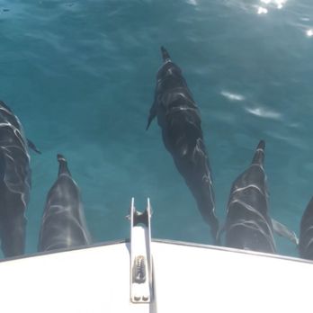 Na Pali Experience - Boating Near Me - Kekaha, Hawaii Na Pali Experience - Boating Near Me - Kekaha, Hawaii