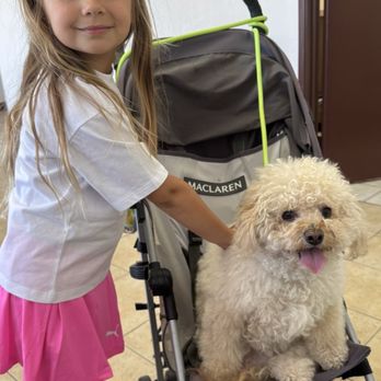 VIP Dog Grooming & Boarding - Pet Groomers Near Me - Stanton, California VIP Dog Grooming & Boarding - Pet Groomers Near Me - Stanton, California