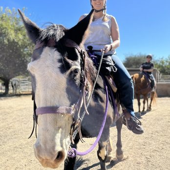 Ojai Valley Trail Riding - Horseback Riding Near Me - Ojai, California Ojai Valley Trail Riding - Horseback Riding Near Me - Ojai, California