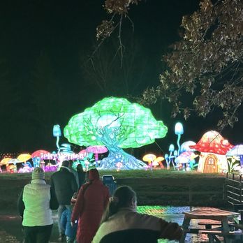 Glo Wild - Festivals Near Me - Kansas City, Missouri