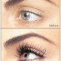 Photo of Lash Out Loud
