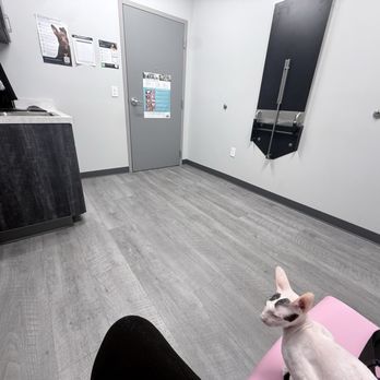 Ark Veterinary Services - Waiting room - Veterinarians Near Me - Charlotte, North Carolina