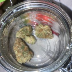 The Green Solution - And y'all sold me this weak ass 3.5 sealed fuck yall