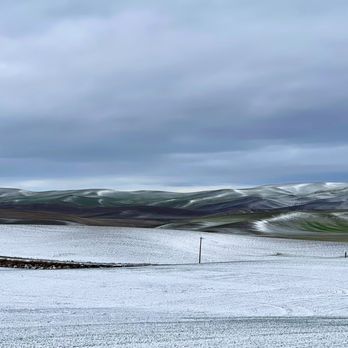 Kamiak Butte State Park - Hiking Near Me - Palouse, Washington