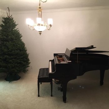 Tom's Piano Moving - Baby Grand Steinway - Piano Services Near Me - Concord, California Tom's Piano Moving - Baby Grand Steinway - Piano Services Near Me - Concord, California