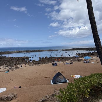 Shark's Cove - Beaches Near Me - Haleiwa, Hawaii Shark's Cove - Beaches Near Me - Haleiwa, Hawaii