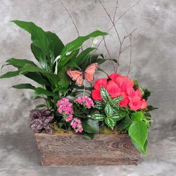 Simply Flowers