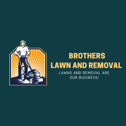 BROTHERS LAWN AND REMOVAL Updated June 2024 Boerne, Texas Lawn