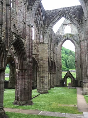Tintern Abbey by null