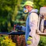 Photo of A Plus Rapid Pest Control