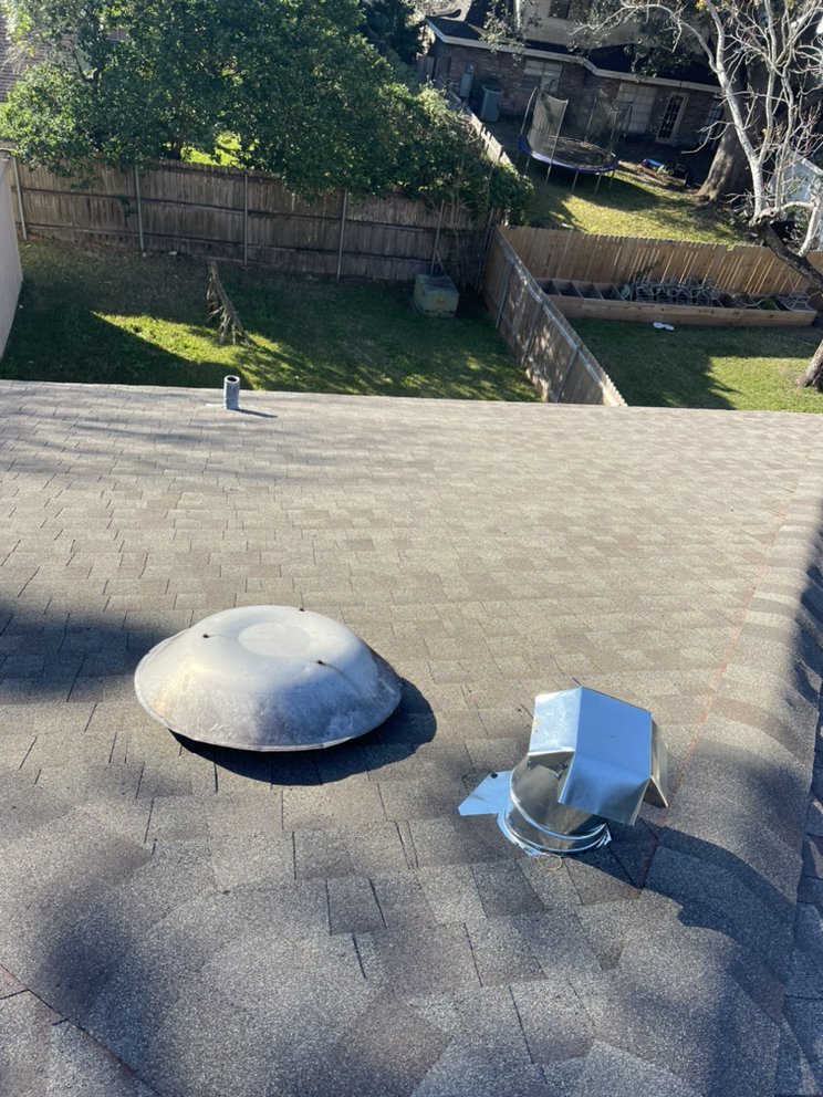 Slide of Tigers Construction