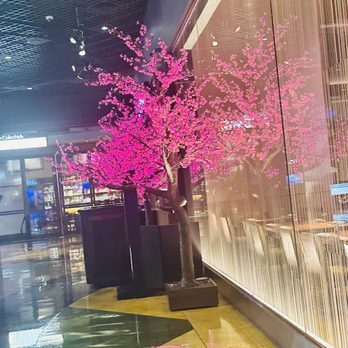 Morimoto - Japanese Near Me - Las Vegas, Nevada