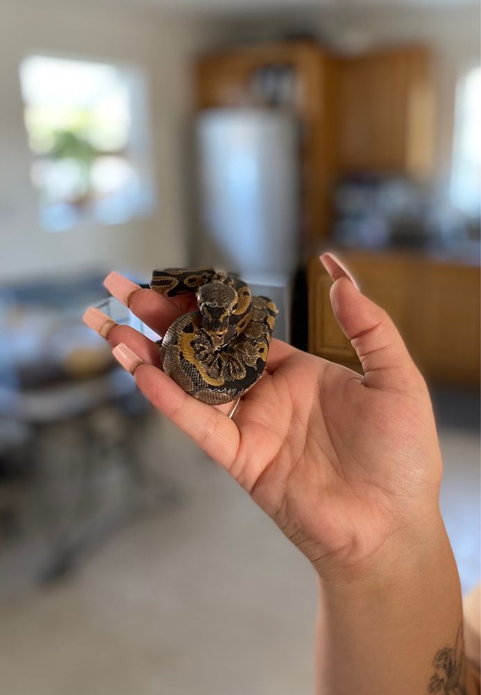 Whittier Feed Store at Linda Godsey blog