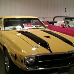 Telstar Mustang-Shelby-Cobra Restorations & Museum