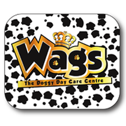 Wags Doggy Day Care